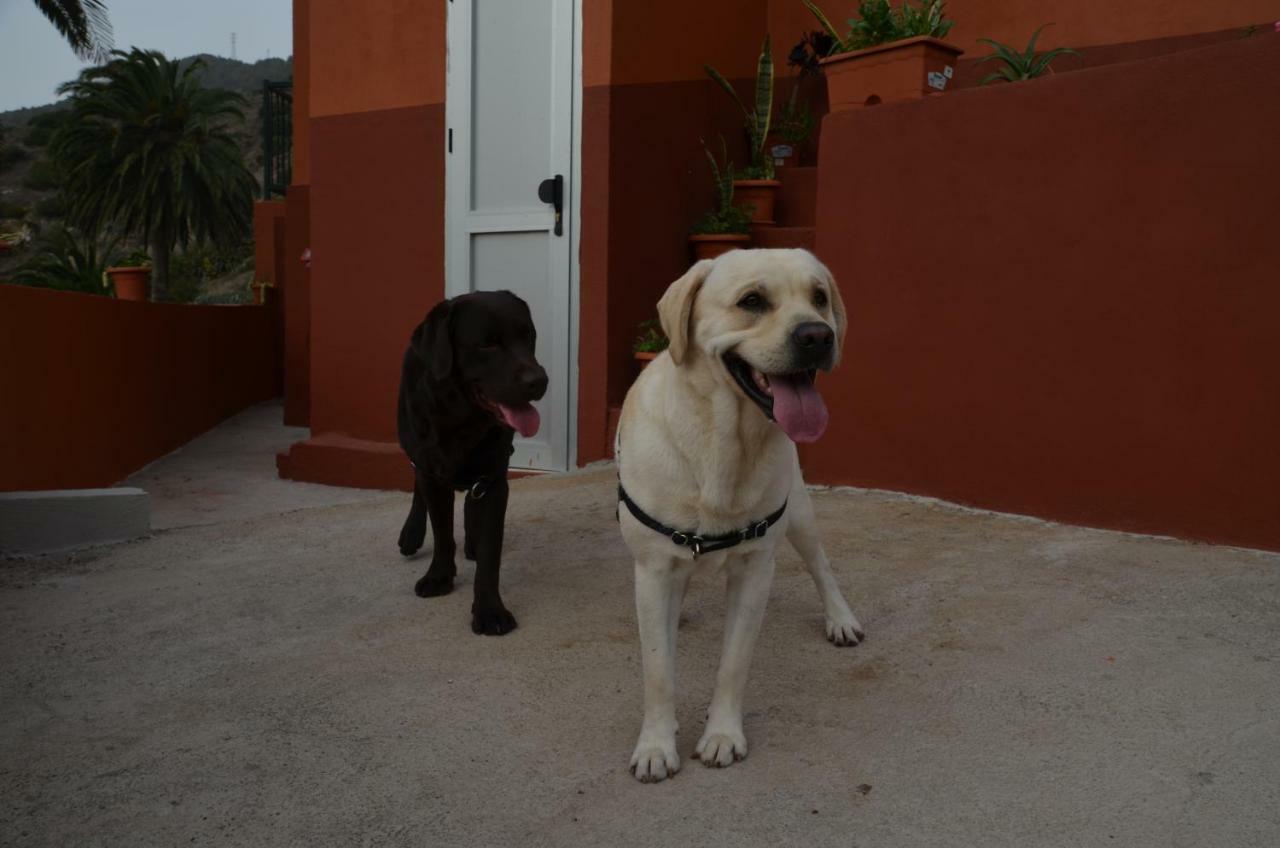 Casa Camilo ξενώνας Vallehermoso Εξωτερικό φωτογραφία
